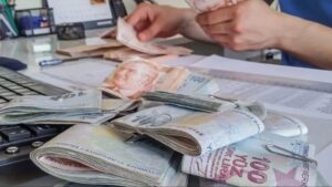 Engelli ve eski hükümlülere hibe desteği başvuruları başladı