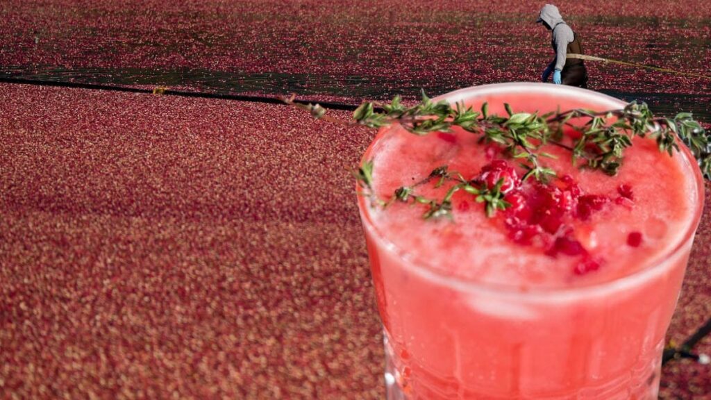 İdrar yolu enfeksiyonlarına yardımcı olduğu kanıtlandı! Bu meyvenin suyu bakterileri tutunmadan dışarı atıyor