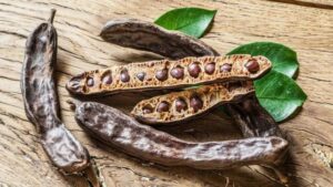 KİLO VERMEYE YARDIMCI: Keçiboynuzu Tozu Nedir, Ne İşe Yarar? Keçiboynuzu Tozu Faydaları Nelerdir?