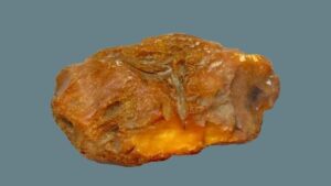 Kapı tutucu SERVET çıktı! Milyonlarca yıllık olduğu öğrenildi: Yaşlı kadını şaşırtan gelişme…