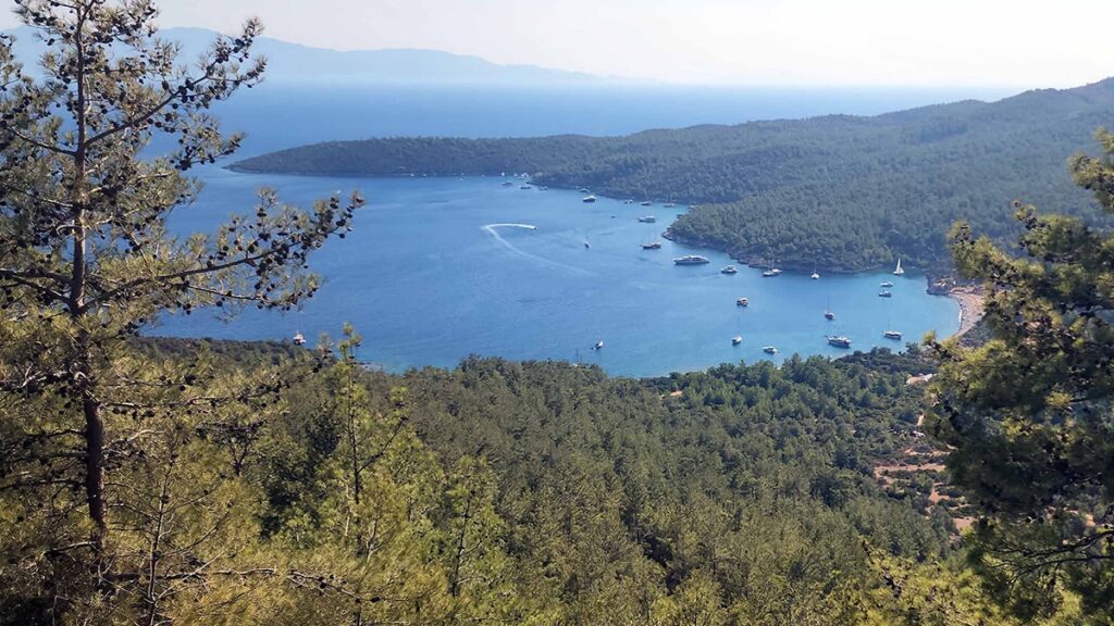 Mehmet Nuri Ersoy’a Bodrum’dan otel tepkisi: ÇED raporu yargıya taşındı