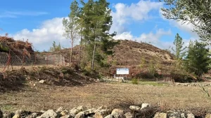 Akbelen’in ortağı IC İÇTAŞ Enerji, meraya göz dikti