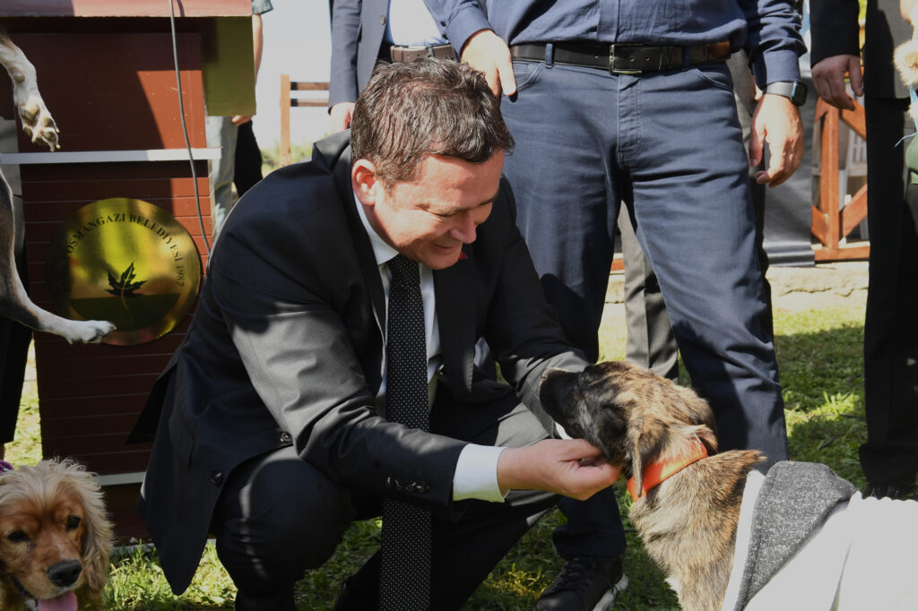 Dünya Hayvanları Koruma Günü bayram havasında kutlandı