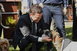 Dünya Hayvanları Koruma Günü bayram havasında kutlandı