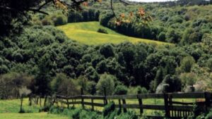 Polonezköy’ü yapılaşmaya açan karara yargı freni