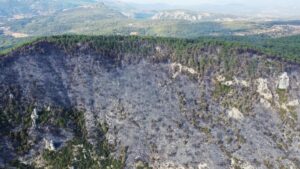 Gökova’nın cennet ormanları karardı