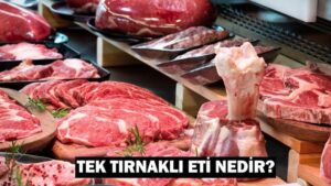 Tek tırnaklı hayvanlar: Tek tırnaklı eti nedir, ne demek?