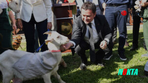 Dünya Hayvanları Koruma Günü bayram havasında kutlandı