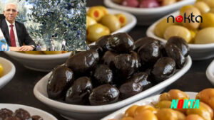 Marmara Birlik Başkanı Hidamet Asa: Son yılların en yüksek zeytin rekoltesi gerçekleşecek