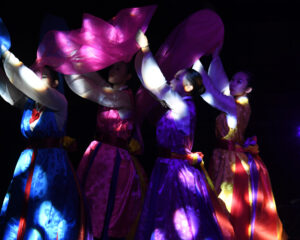 Koreli sanatçılardan muhteşem gösteri