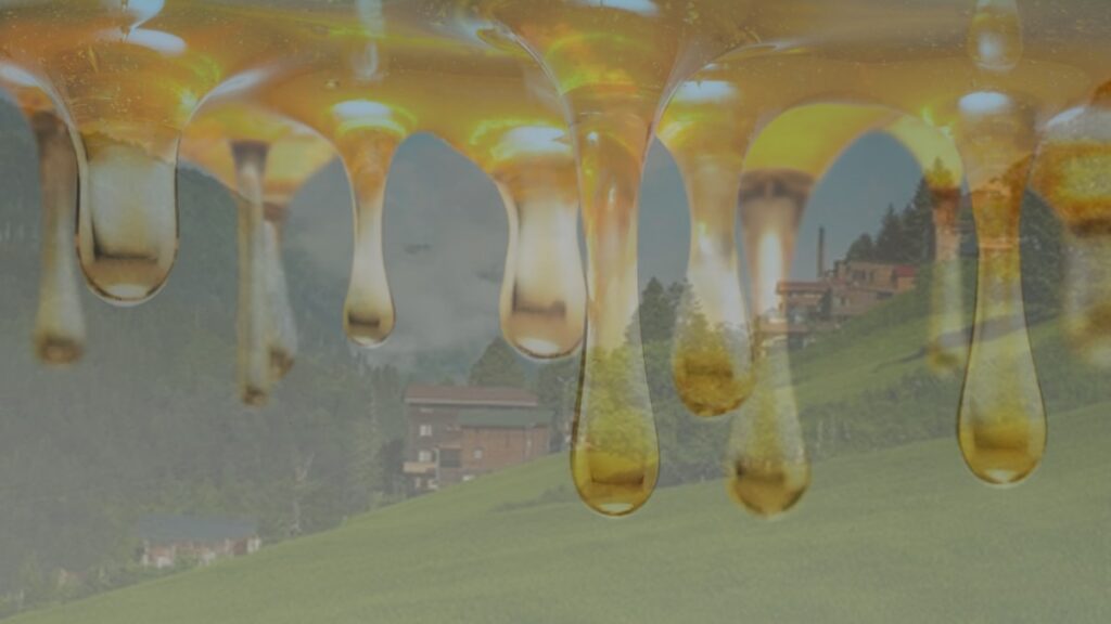 Kilosu 4 bin lira: Türkiye’de tek bir yerde üretiliyor, Avrupa’da çok talep görüyor