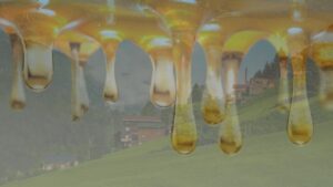 Kilosu 4 bin lira: Türkiye’de tek bir yerde üretiliyor, Avrupa’da çok talep görüyor