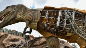 Konser bahanesiyle halk iradesine gasp