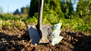 Lotodan 200 milyon TL kazanan çift bileti bahçeye gömdü