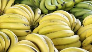 Muzu bu saatte yemek bağırsakları tahriş ediyor! İşte muz yemenin ideal saati…