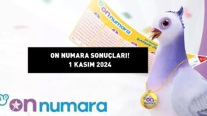 ON NUMARA SONUÇLARI 1 KASIM 2024: Milli Piyango 425,2 bin TL büyük ikramiyeli On Numara sonuçları açıklandı mı, ne zaman açıklanır?