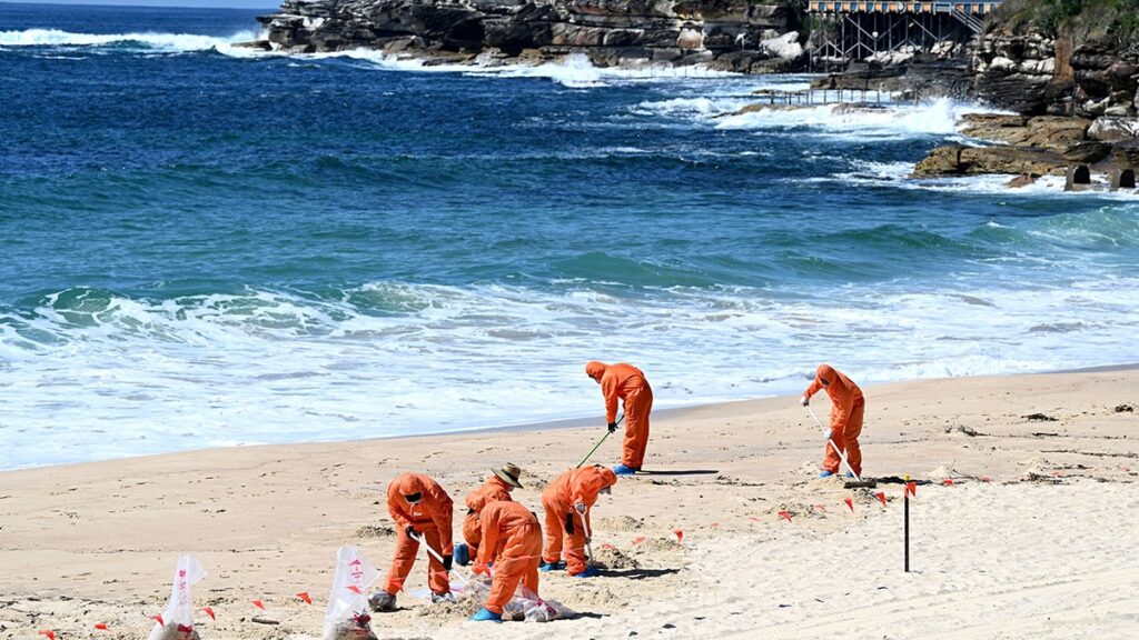 Sahillere vuran ‘zehirli’ siyah topların gizemi çözüldü