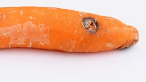 Siyah benekli havuçlar yenir mi yoksa çöpe mi atılmalı? İşte yanıtı