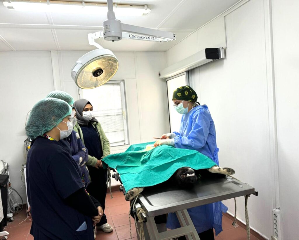 Bursa Osmangazi’de can dostlar emin ellerde