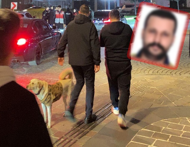 3 ülke 7 cinayet! Vadi İstanbul saldırısının altında Barış Boyun çetesi mi var?