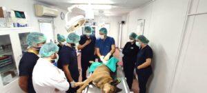 Osmangazi’de can dostlar emin ellerde