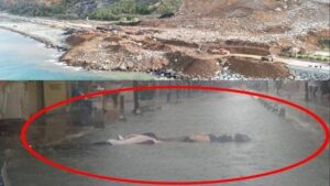 Dağ gibi adaletsizlik