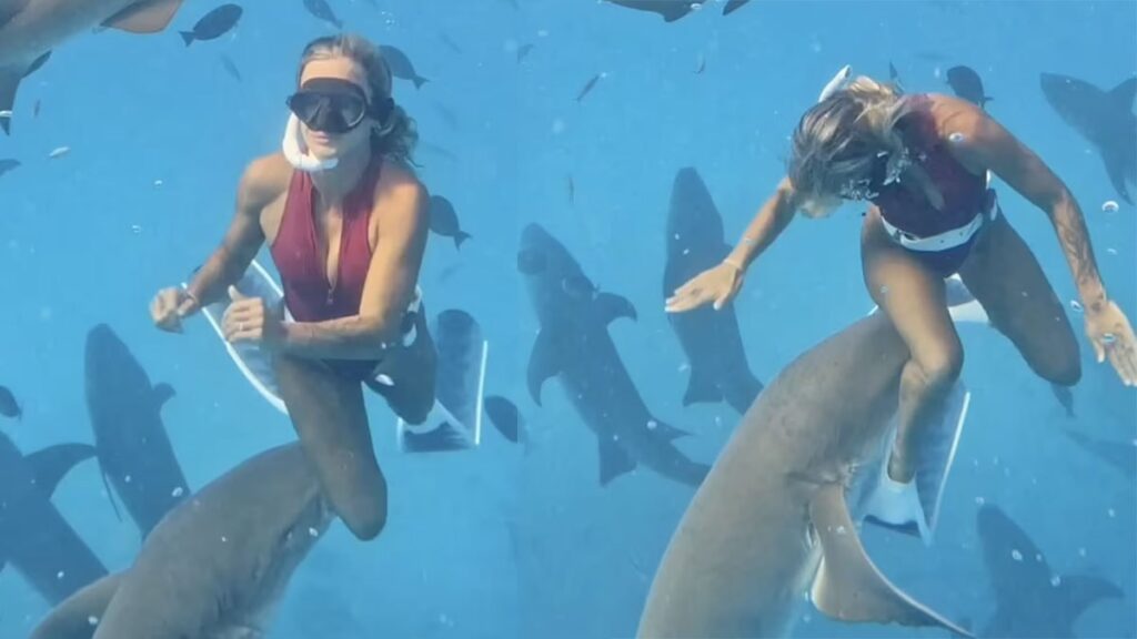 Korku dolu anlar: Kadına köpekbalığı saldırdı