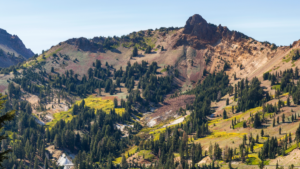 Nesli tükendi sanılıyordu 100 yıl sonra ortaya çıktı: Her şeyi değiştirecekler