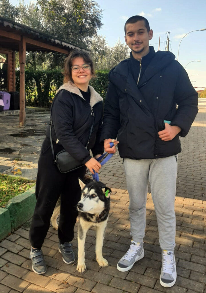 2024’te 693 sokak hayvanı sahiplendirildi