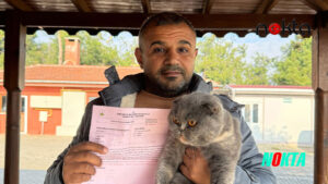 Bursa Osmangazi’de can dostlar sıcak yuvalara kavuştu