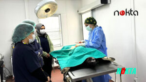 Bursa Osmangazi’de Üniversite işbirliğinde 155 can dostu kısırlaştırıldı