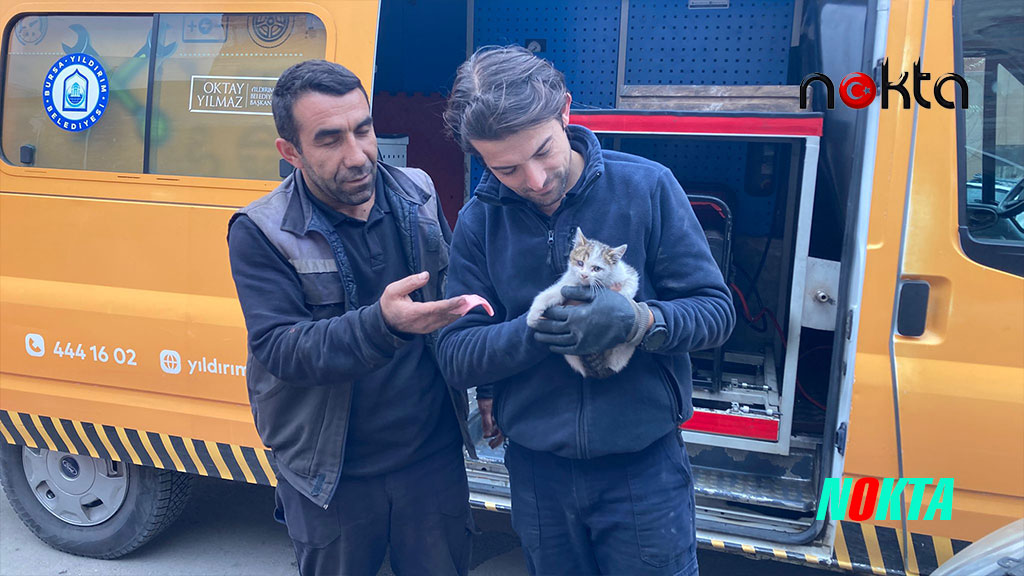 Kaputa sıkışan yavru kedi kurtarıldı