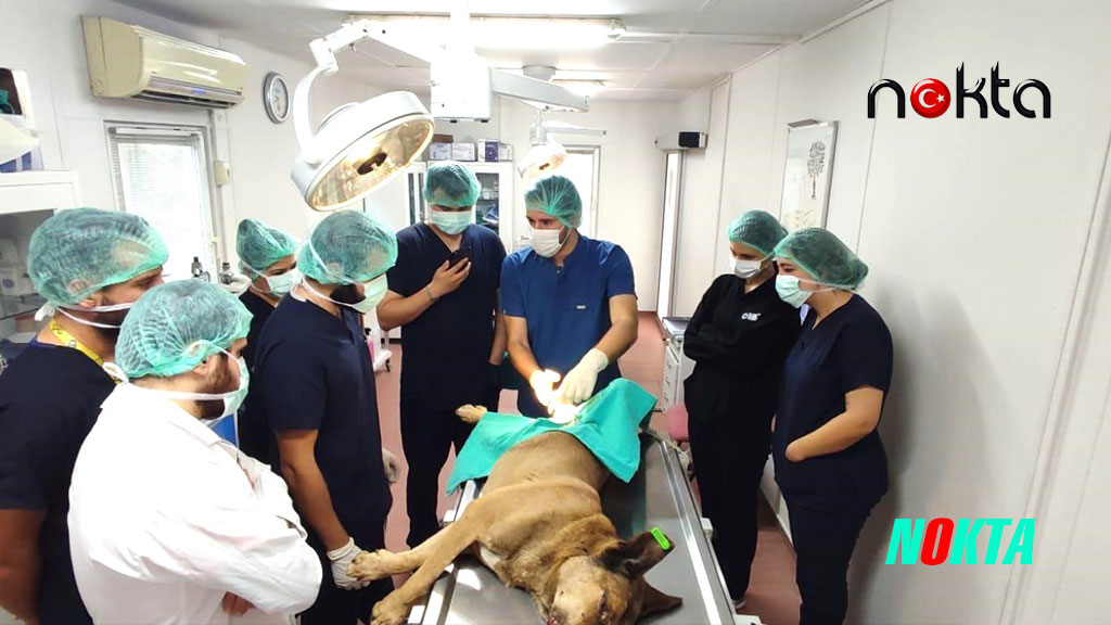 Osmangazi’de can dostlar emin ellerde