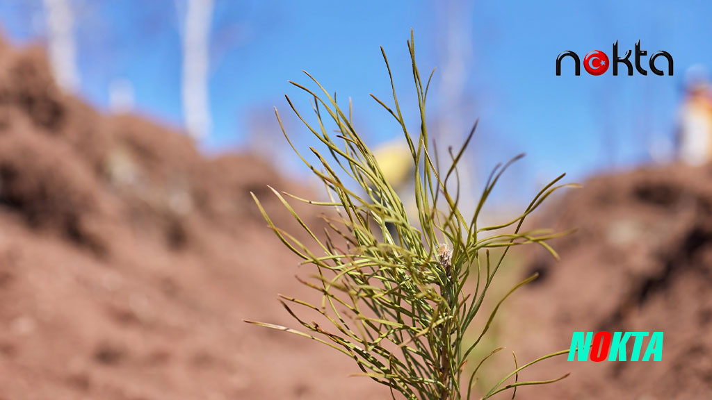Uludağ Elektrik Dijitalleşme Çalışmalarıyla Doğaya Katkı Sağlıyor