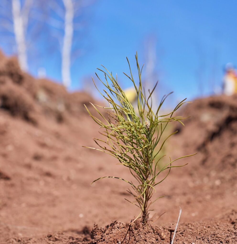 Uludağ Elektrik Dijitalleşme Çalışmalarıyla Doğaya Katkı Sağlıyor