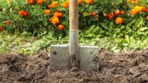 300 bin kişi topluca toprağa karışacak