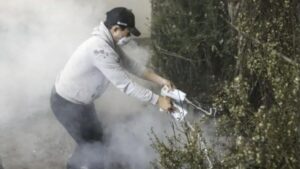 ABD’nin gücü Hollywood’un beşiğini söndürmeye yetmedi