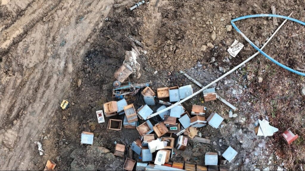 Cengiz’in madeni arıları da öldürdü