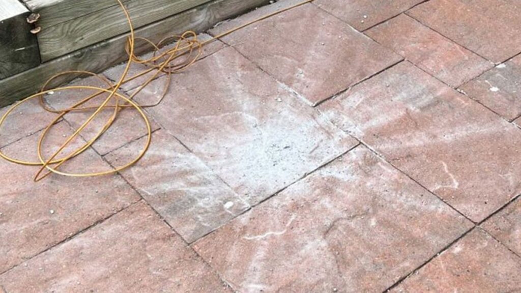 Evinizin önünde bu izden varsa dikkat: Sesi ilk kez kaydedildi, gökten geliyor!