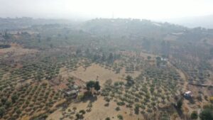 Kızılay bu kez de tarla satmaya başladı