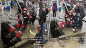 Muğla’da kuyuya düşen yavru köpeği kurtarmak için seferber oldular