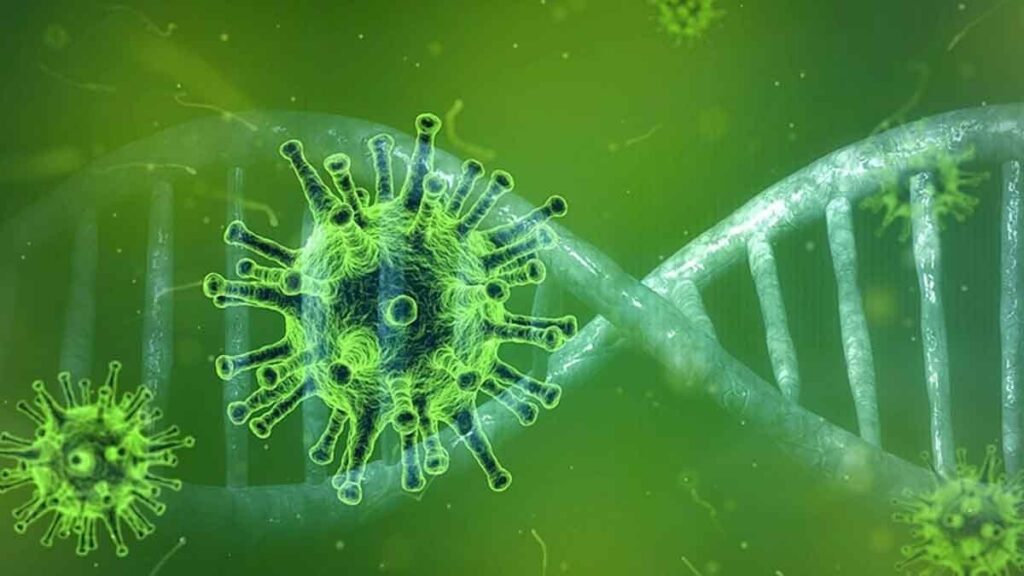 Ölümcül bir virüs mutasyona uğradı: Bilim insanları alarma geçti