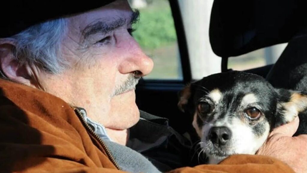 Uruguay’ın Sosyalist Başkanı kanser tedavisini reddetti: ‘Köpeğimin yanına gömülmek istiyorum’