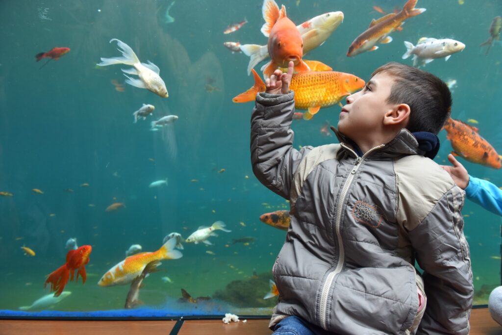 Yıldırım Belediyesi’den çocuklara karne hediyesi
