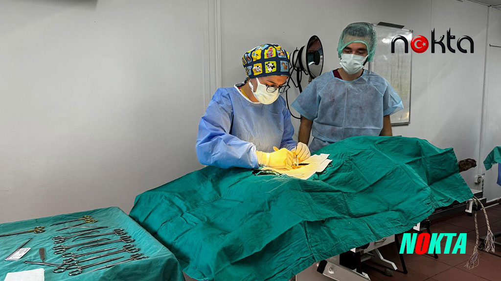 Bursa Osmangazi’de hem toplum hem de hayvanlar korunuyor