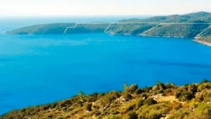 Ersoy’un oteli Bodrum’da ormanlık alanı yok edecek