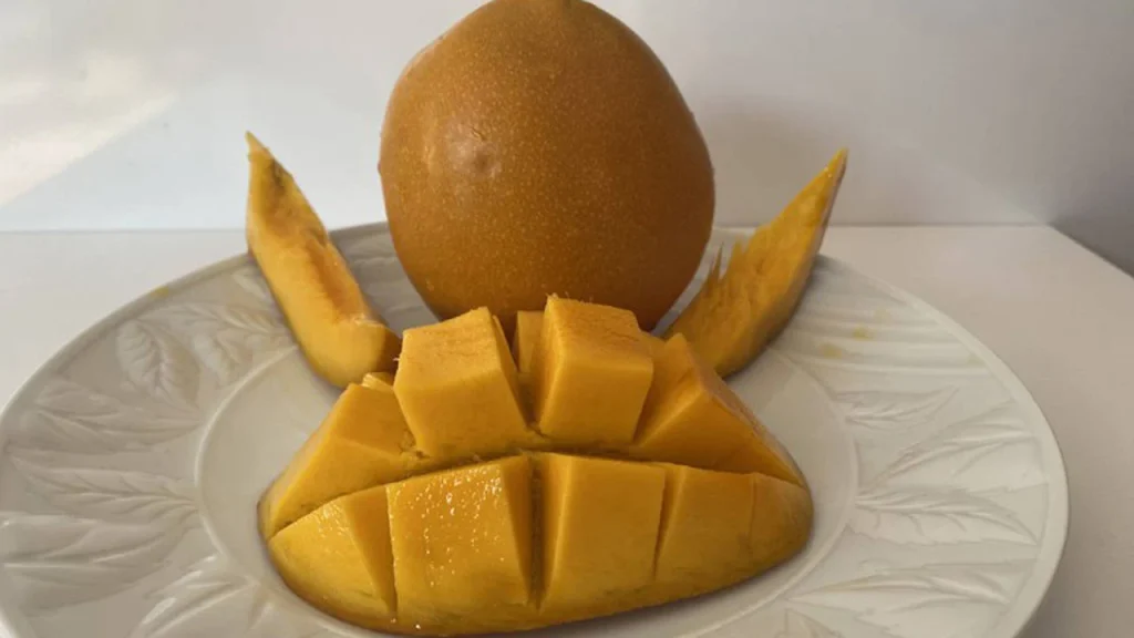 Mango fidanıyla vergi kaçırdı!