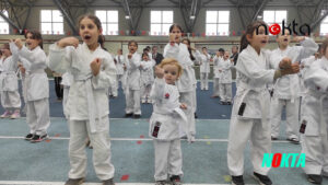 Osmangazi’de karate eğitim semineri