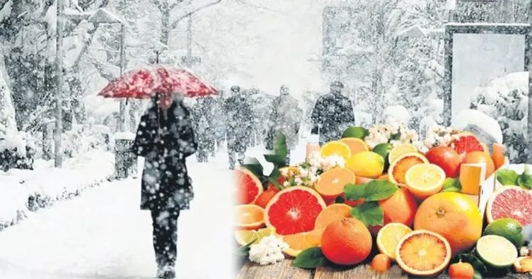 Buz gibi havaya renkli kalkan