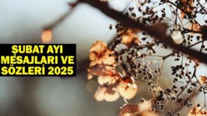Şubat Ayı Sözleri ve Mesajları 2025: Resimli Hoş Geldin Şubat Ayı Sözleri!